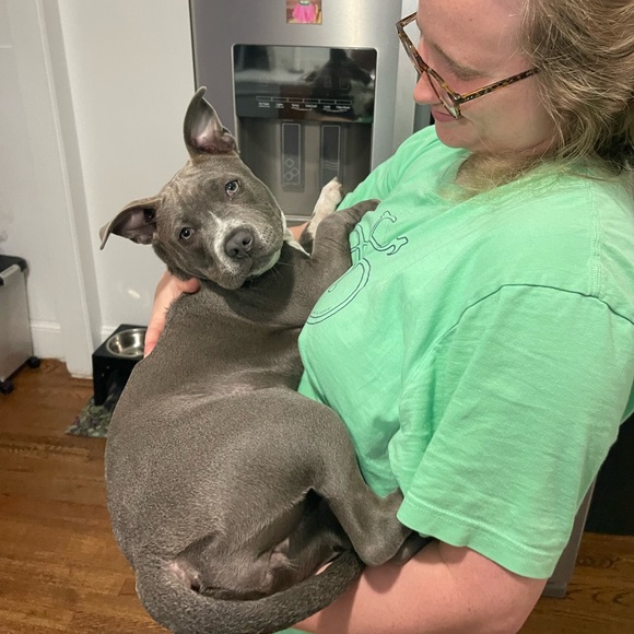 Meet your Posher, Lauren - Picture 5 of 5